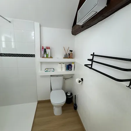 Le Petillant Apartment *